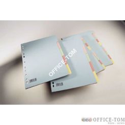 Przekładka A4 SPOKO  0431 karton 5 kolorów