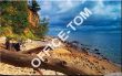 Kalendarz B5 standard PLUS ciemny brąż 114017011 Astra - 2