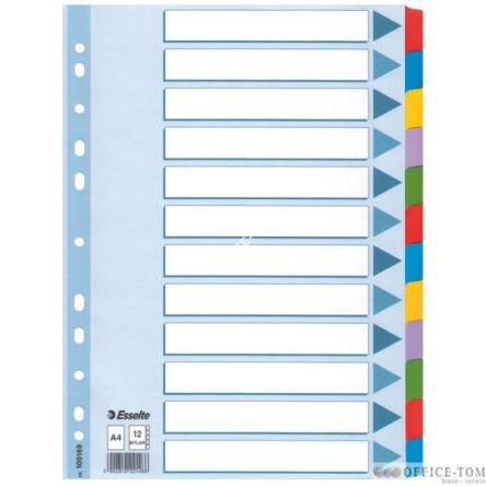 Przekładki, kolorowy karton, karta opisowa Mylar A4, ESSELTE, 12 kart
