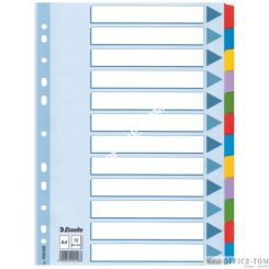 Przekładki, kolorowy karton, karta opisowa Mylar A4, ESSELTE, 12 kart