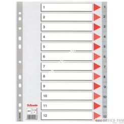 Przekładki plastikowe szare PP numeryczne A4 ESSELTE, 1-12