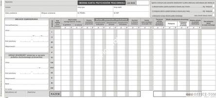 Imienna karta przychodów pracownika MICHALCZYK I PROKOP 1/3 A3 20 kart