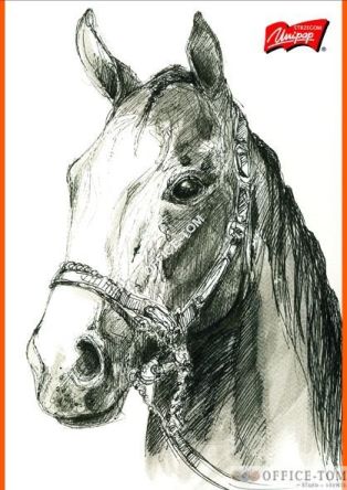 Przybornik z karteczkami na biurko STICK`N 21425  21425