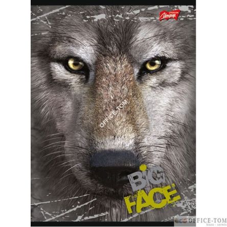 Zeszyt okładka laminowana A5, 60k kratka THE MOUNTAIN BIG FACE Unipap