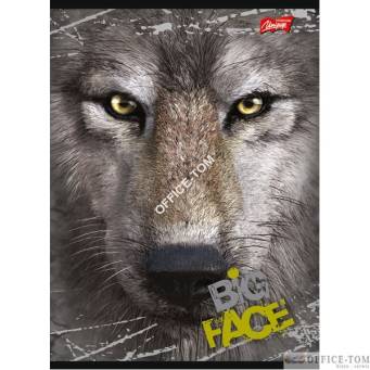 Zeszyt okładka laminowana A5, 60k kratka THE MOUNTAIN BIG FACE Unipap