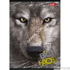 Zeszyt okładka laminowana A5, 60k kratka THE MOUNTAIN BIG FACE Unipap