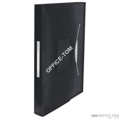 Teczka z przegródkami ESSELTE Vivida, czarny