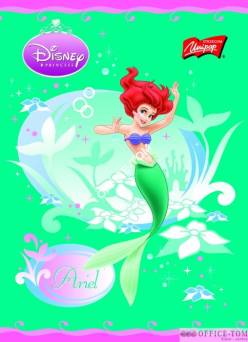 Zeszyt na spirali okładka laminowana A6, 50k., krata DISNEY KSIĘŻNICZKI UNIPAP